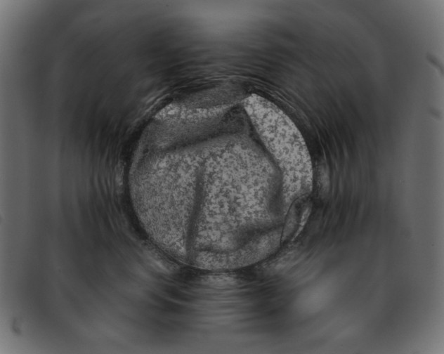 X0000092210668200710121130