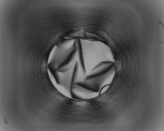 X0000092210669200710121130