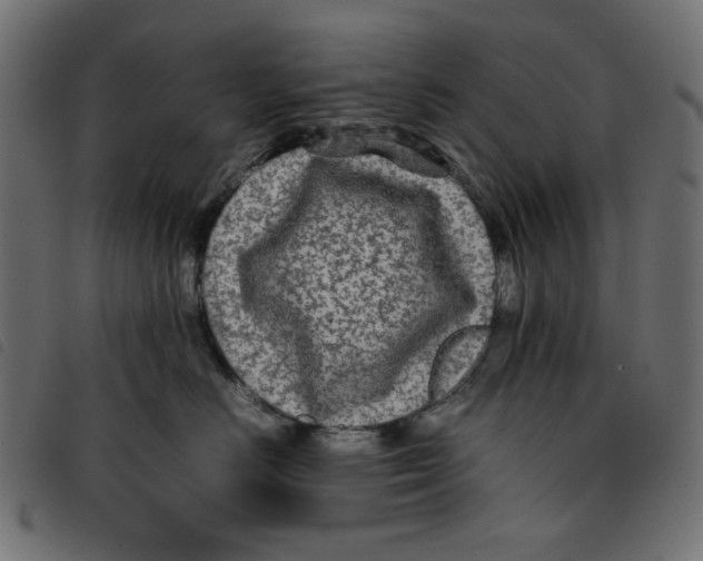 X0000092210670200710121130