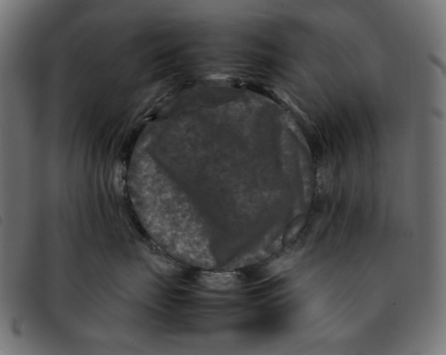 X0000092210671200710121130