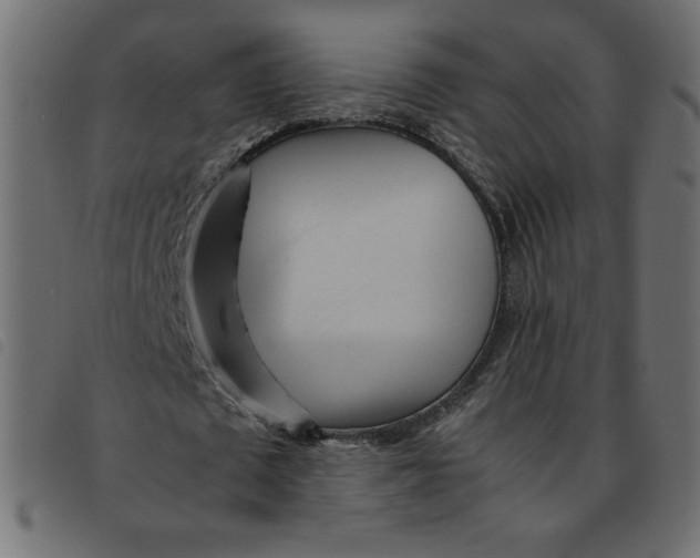 X0000092210673200710121129
