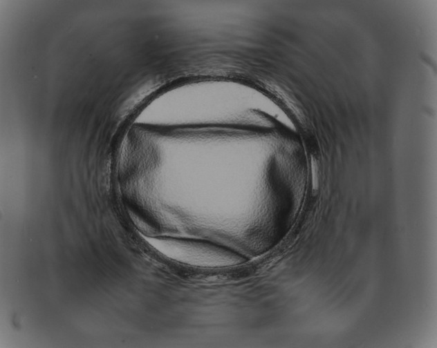 X0000092210675200710121129