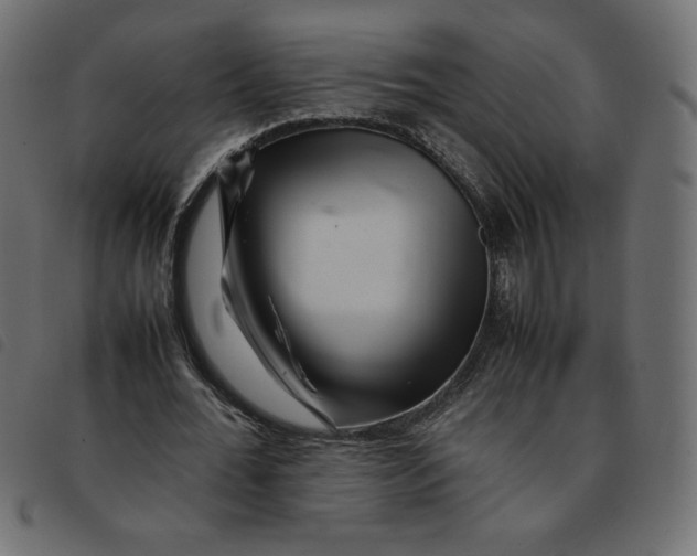 X0000092210676200710121129