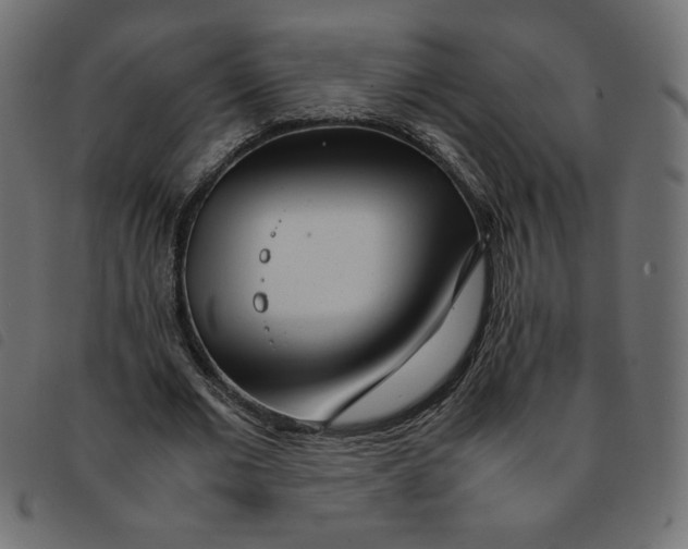 X0000092210677200710121129