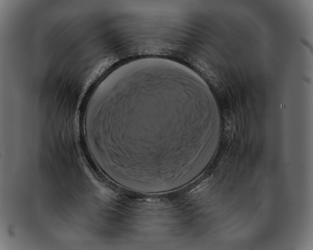 X0000092210678200710121129