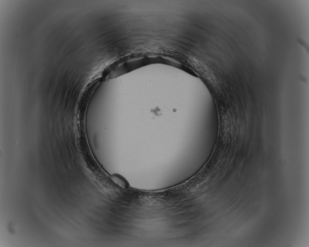 X0000092210680200710121129