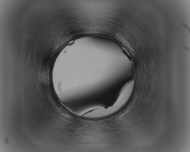 X0000092210681200710121129