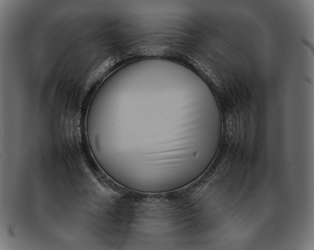 X0000092210682200710121129