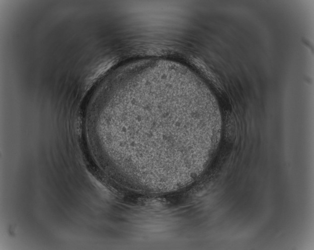 X0000092210683200710121129