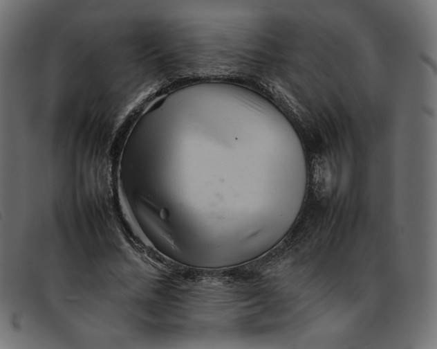 X0000092210684200710121129