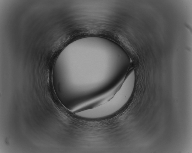 X0000092210685200710121129