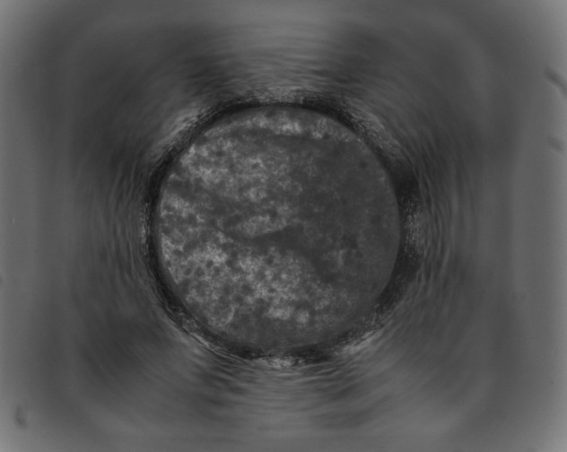 X0000092210687200710121129
