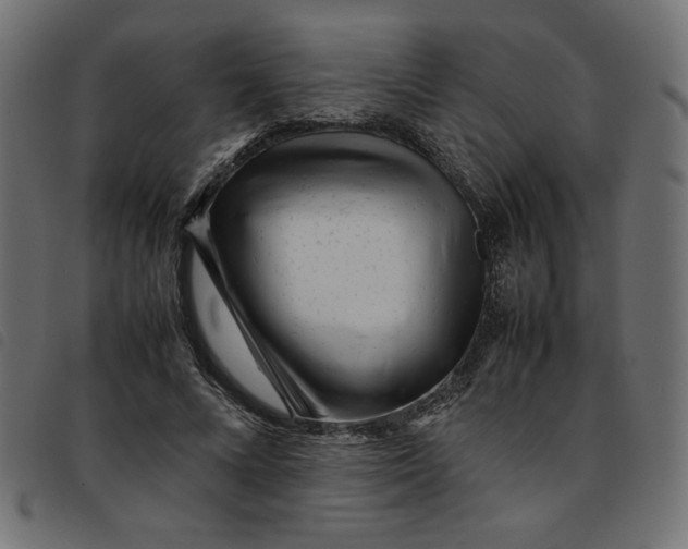 X0000092210688200710121129