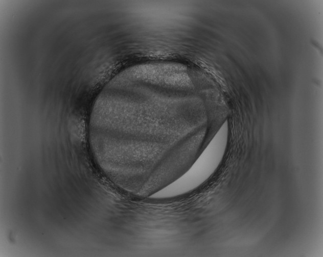 X0000092210689200710121129