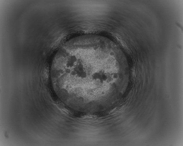 X0000092210691200710121129