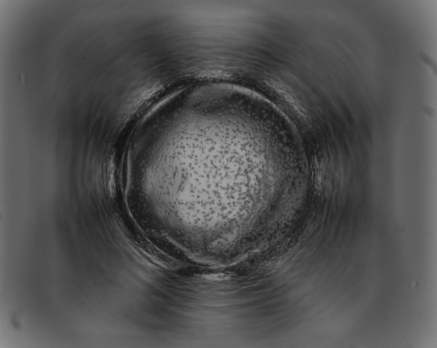 X0000092210692200710121129