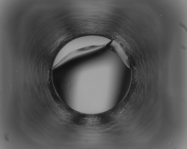 X0000092210693200710121129