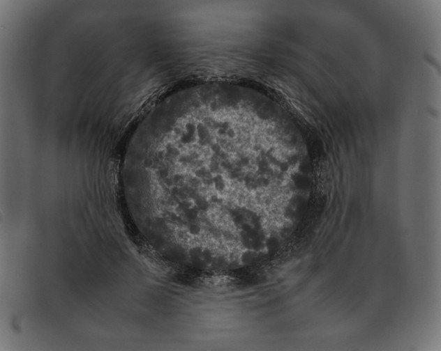 X0000092210695200710121129