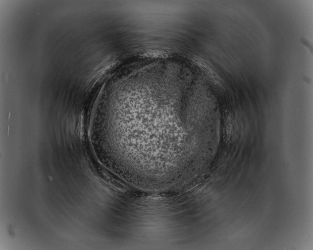 X0000092210696200710121129