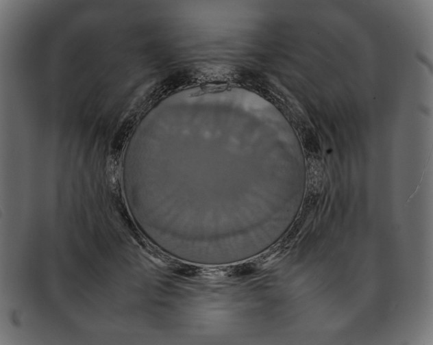 X0000092210701200710121129