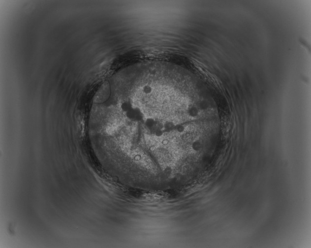 X0000092210703200710121129