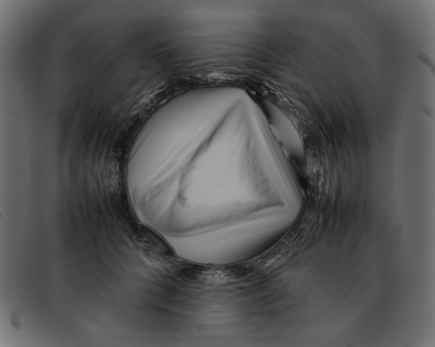 X0000092210704200710121129