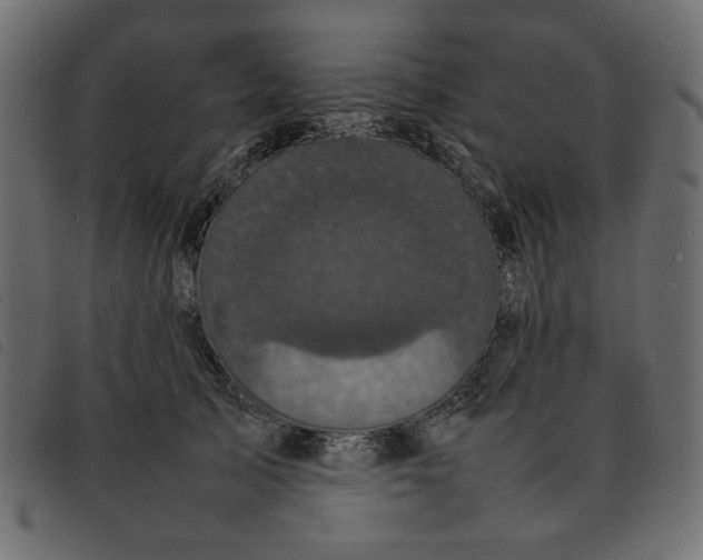 X0000092210705200710121129