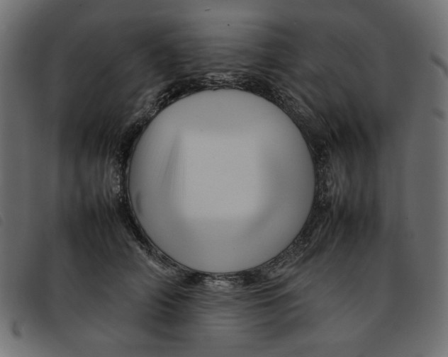 X0000092210706200710121129