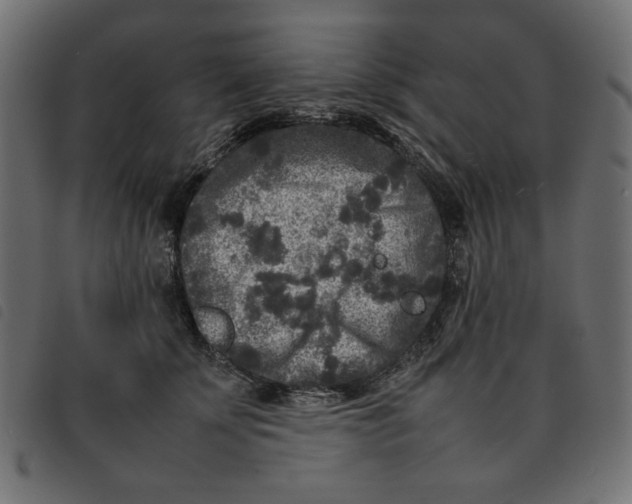 X0000092210707200710121129