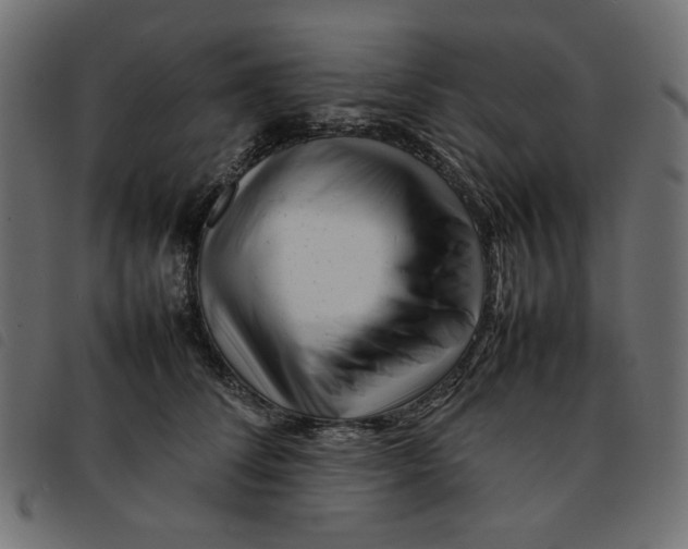 X0000092210708200710121129