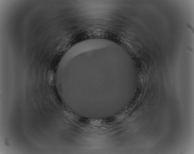 X0000092210709200710121129
