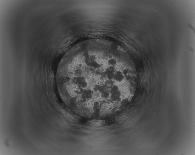 X0000092210711200710121129