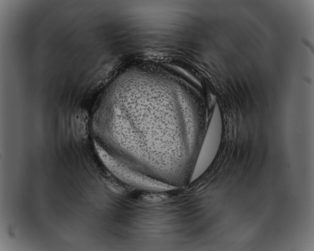X0000092210712200710121129