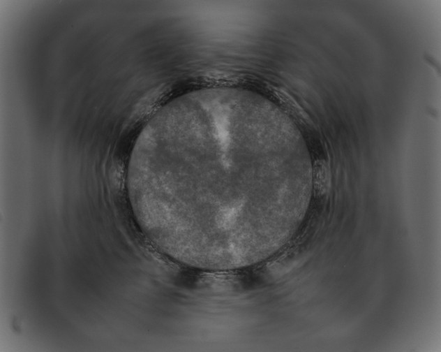 X0000092210713200710121129