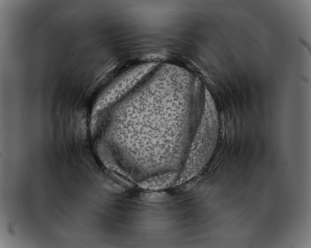 X0000092210716200710121129