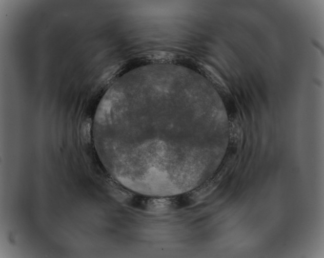 X0000092210717200710121129