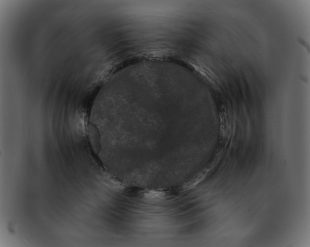 X0000092210718200710121129
