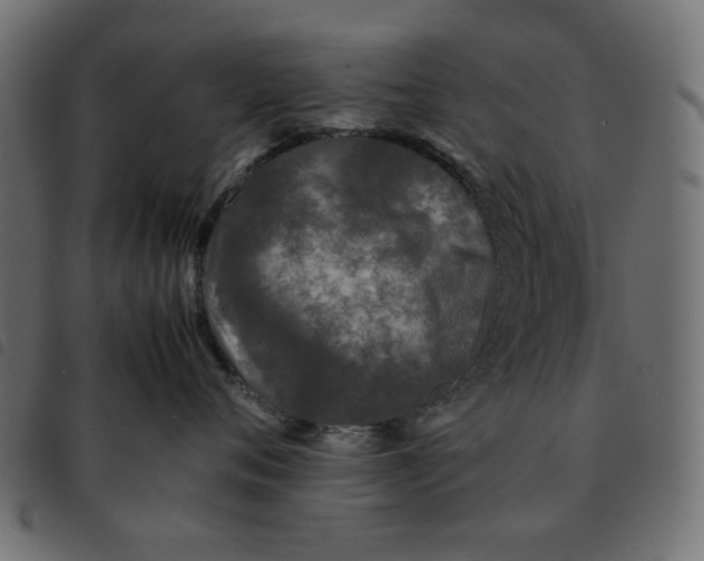 X0000092210720200710121129