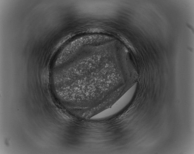 X0000092210722200710121128