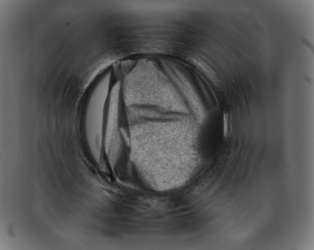 X0000092210723200710121128