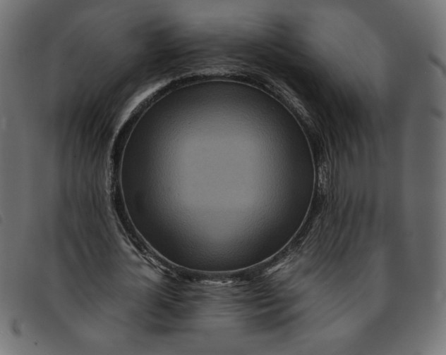 X0000092210724200710121128