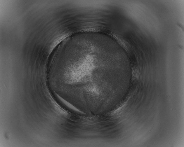 X0000092210725200710121128
