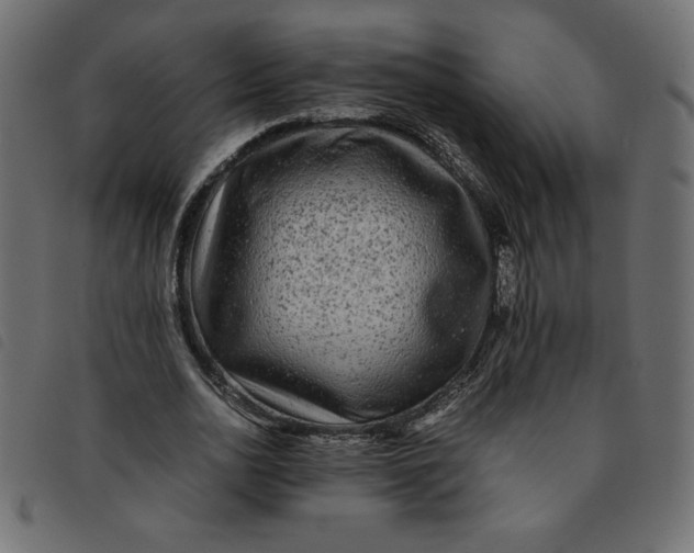 X0000092210726200710121128