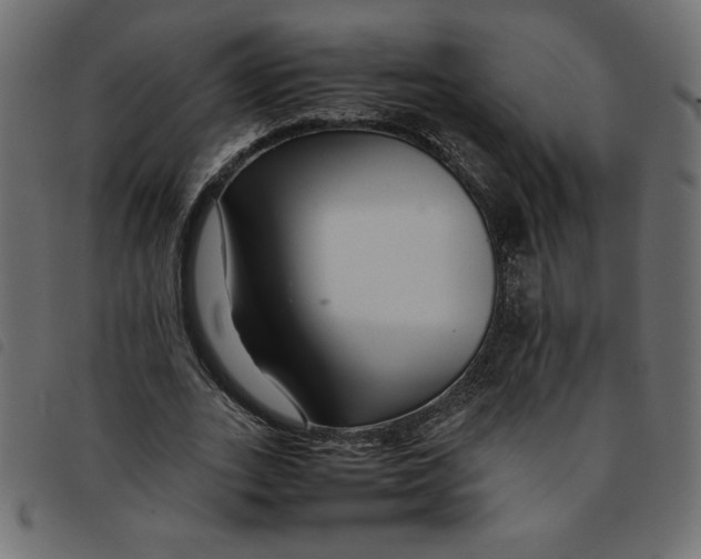 X0000092210727200710121128