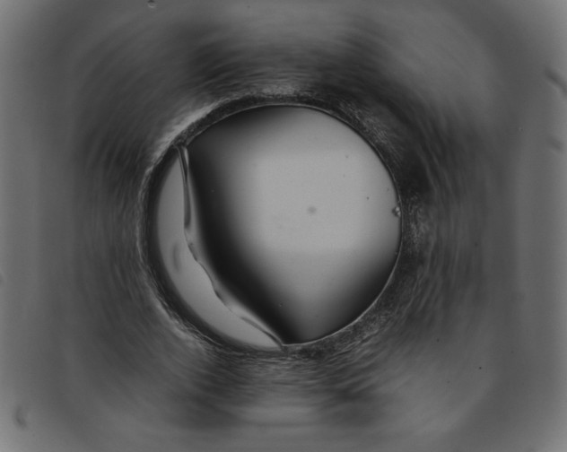 X0000092210728200710121128
