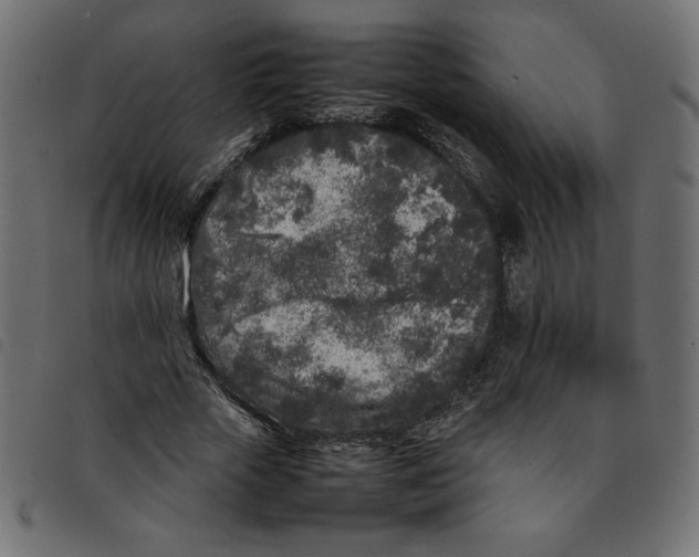 X0000092210729200710121128