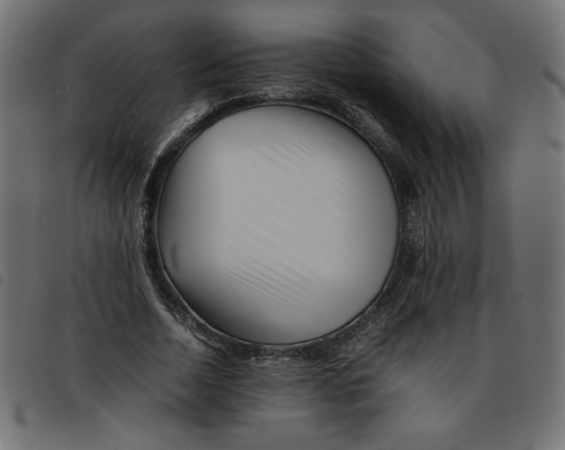 X0000092210730200710121128