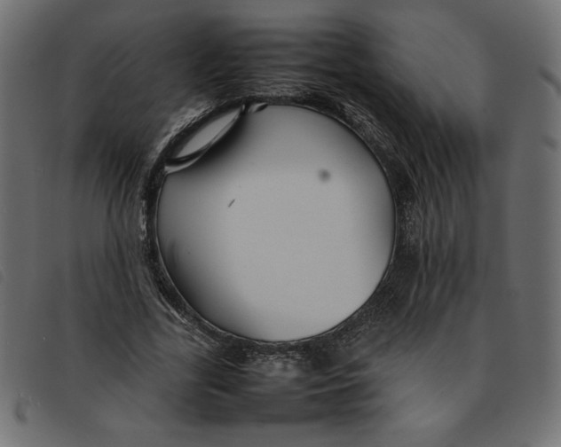 X0000092210731200710121128