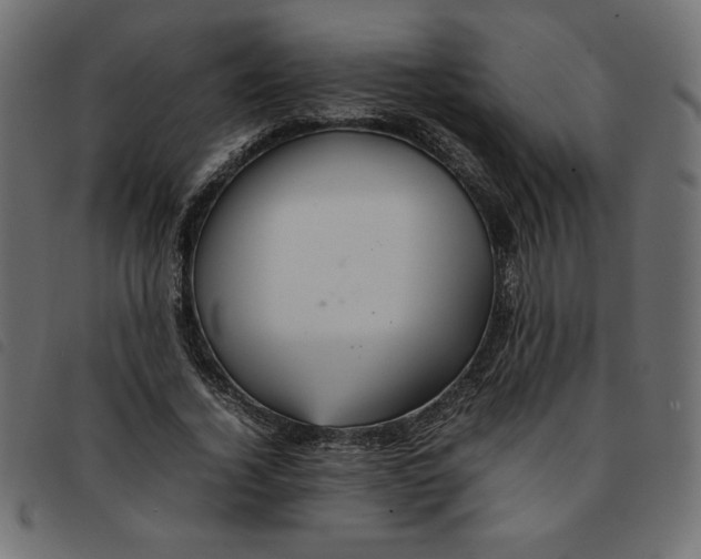 X0000092210732200710121128
