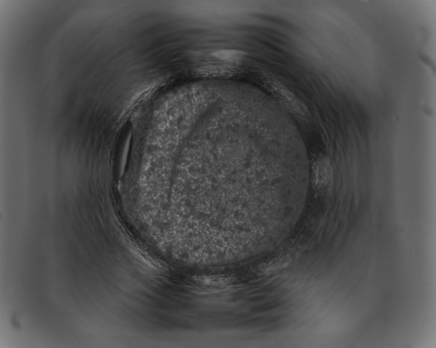X0000092210733200710121128
